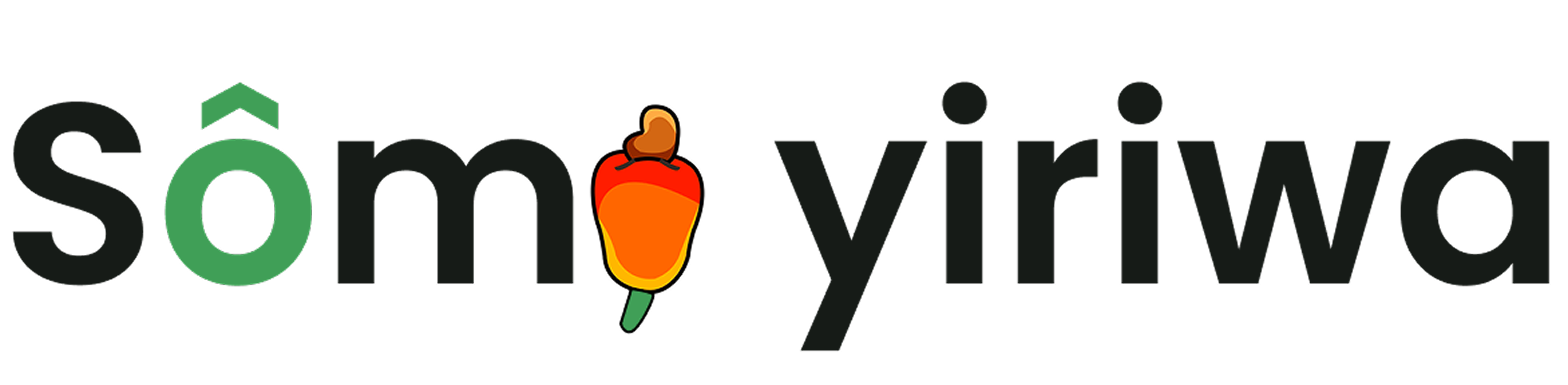 Logo de somo_yiriwa